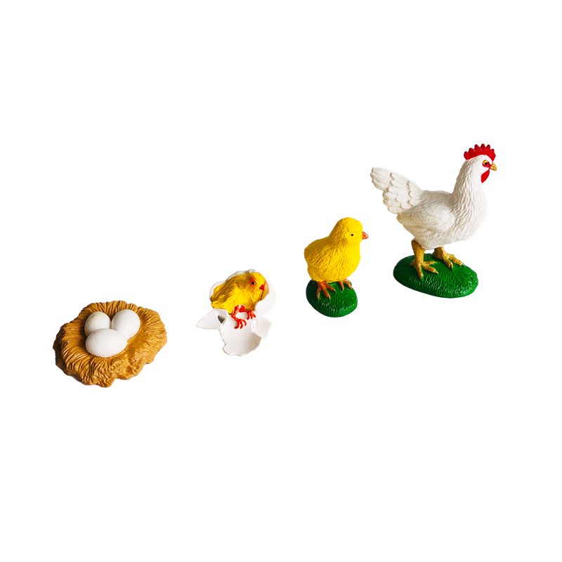 Kartu dan Model Hewan Siklus H - Kids Toys Cycle ulasan dan harga